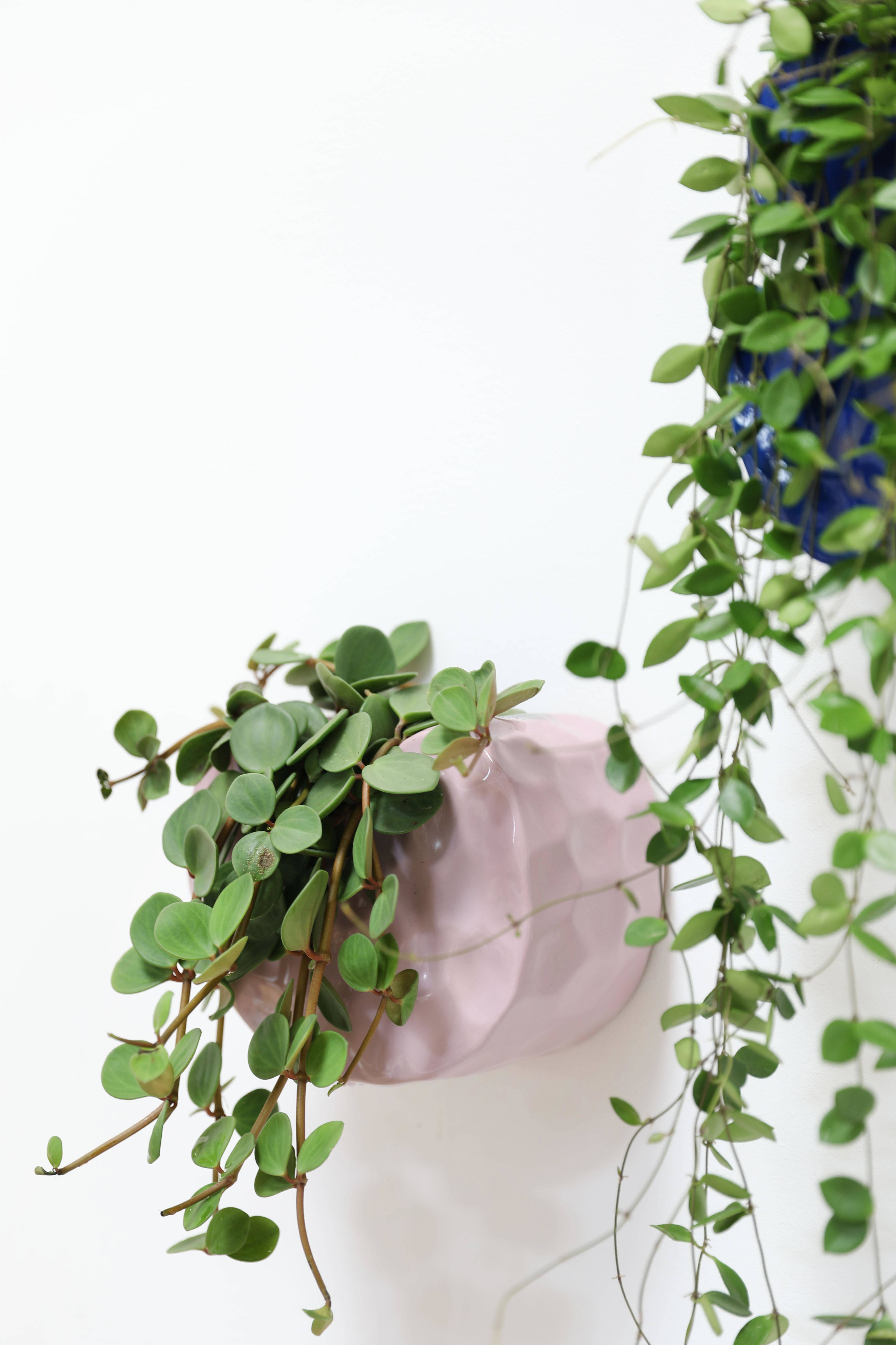 &k amsterdam plantenhanger clay