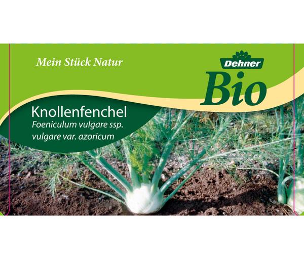 Bio Knollenfenchel, 6er Schale