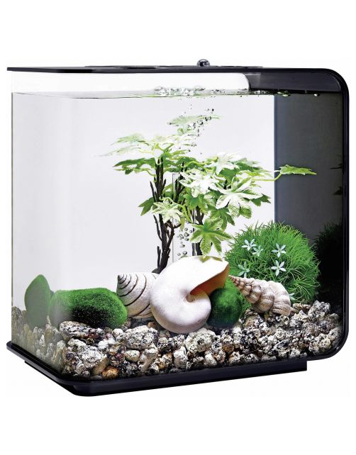 Biorb Decor Set Zomer - Aquarium - Ornament - Groen Lichtroze Beige