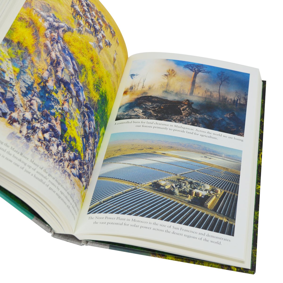 Earthshot: How to Save Our Planet (Hardback)