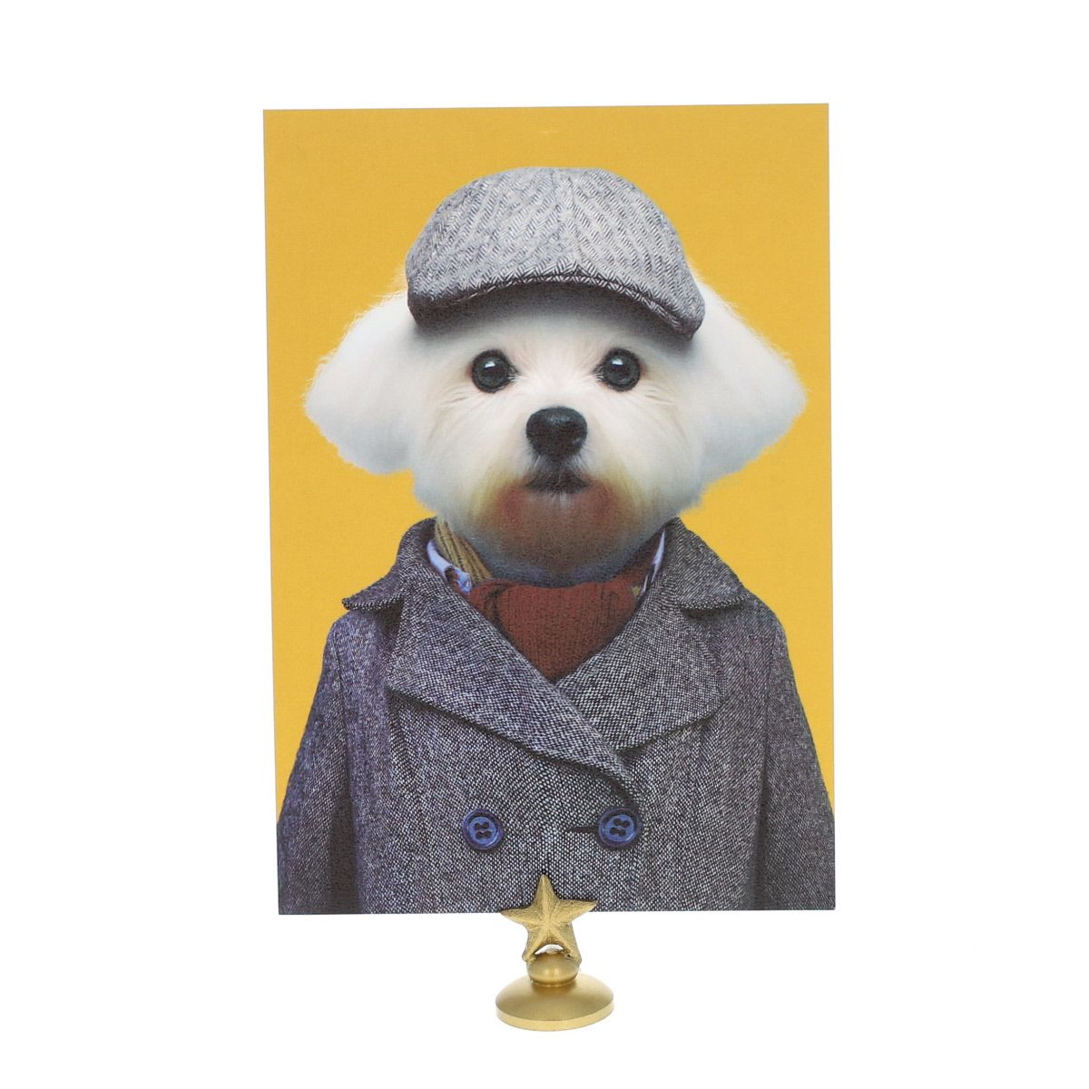 Carte bichon maltais Lagom Design
