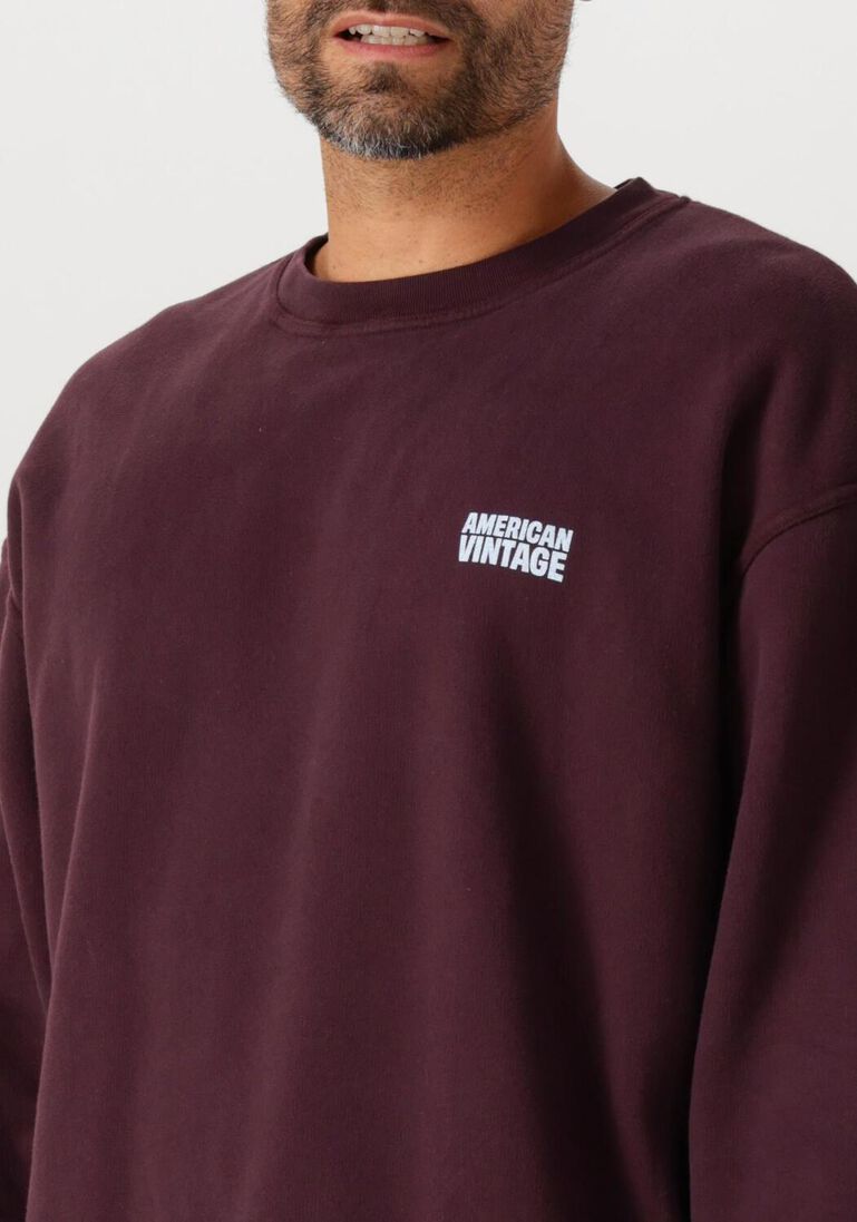 bordeaux american vintage sweater plizzy 1