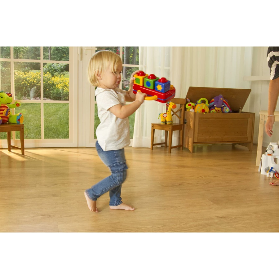 TOLO® Pop Up Teddies