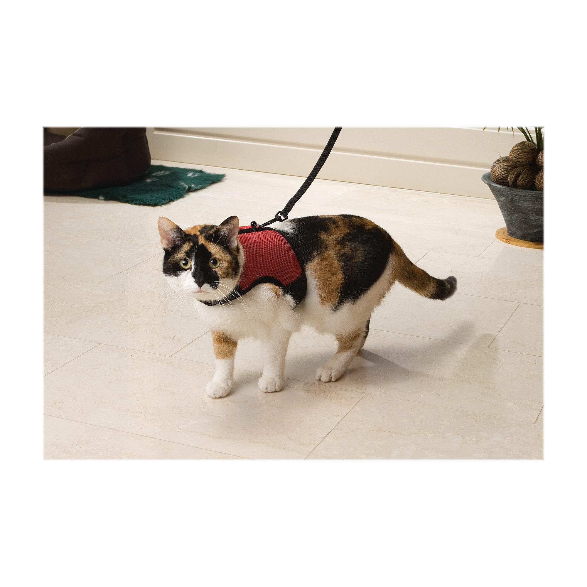 Beeztees Kattenharnas