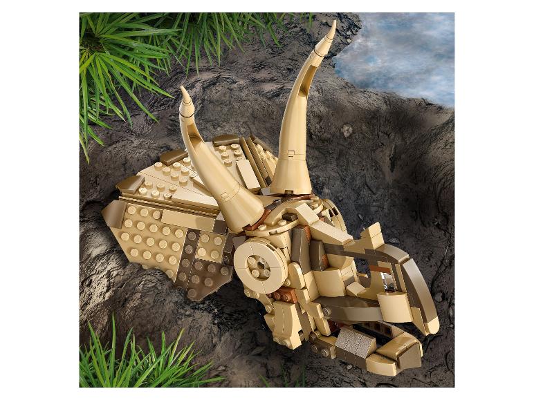 Dinosaurusfossielen: Triceratops schedel 76969
