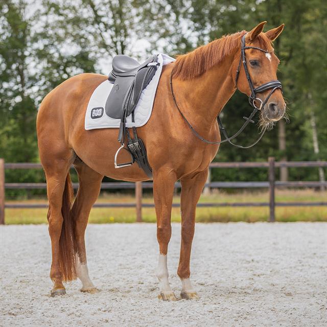 Zadeldek QHP Nummer Dressuur Wit