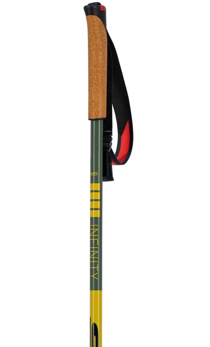 Swix Infinity Sonic Alu Pole Green