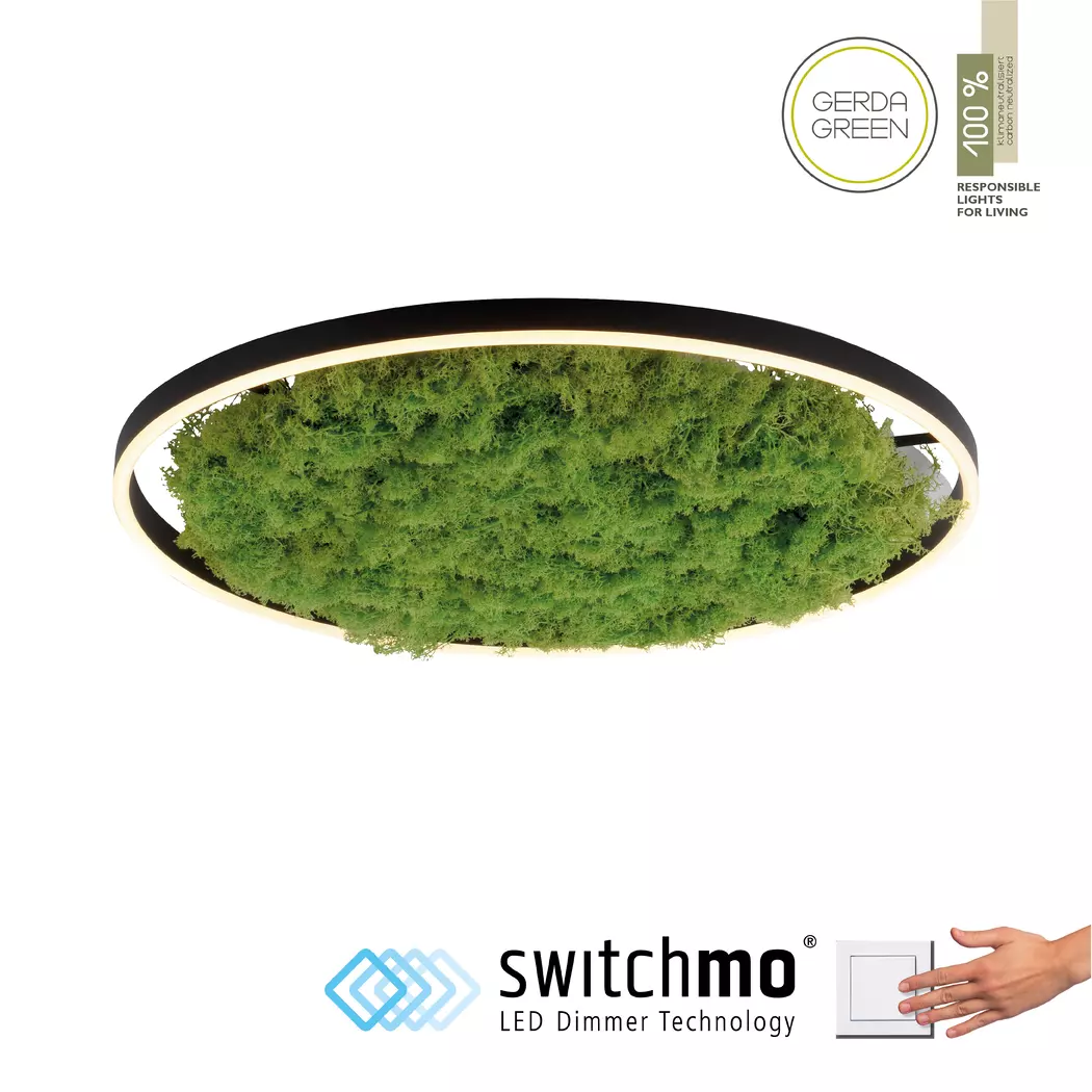 LED-Deckenleuchte Green Ritu