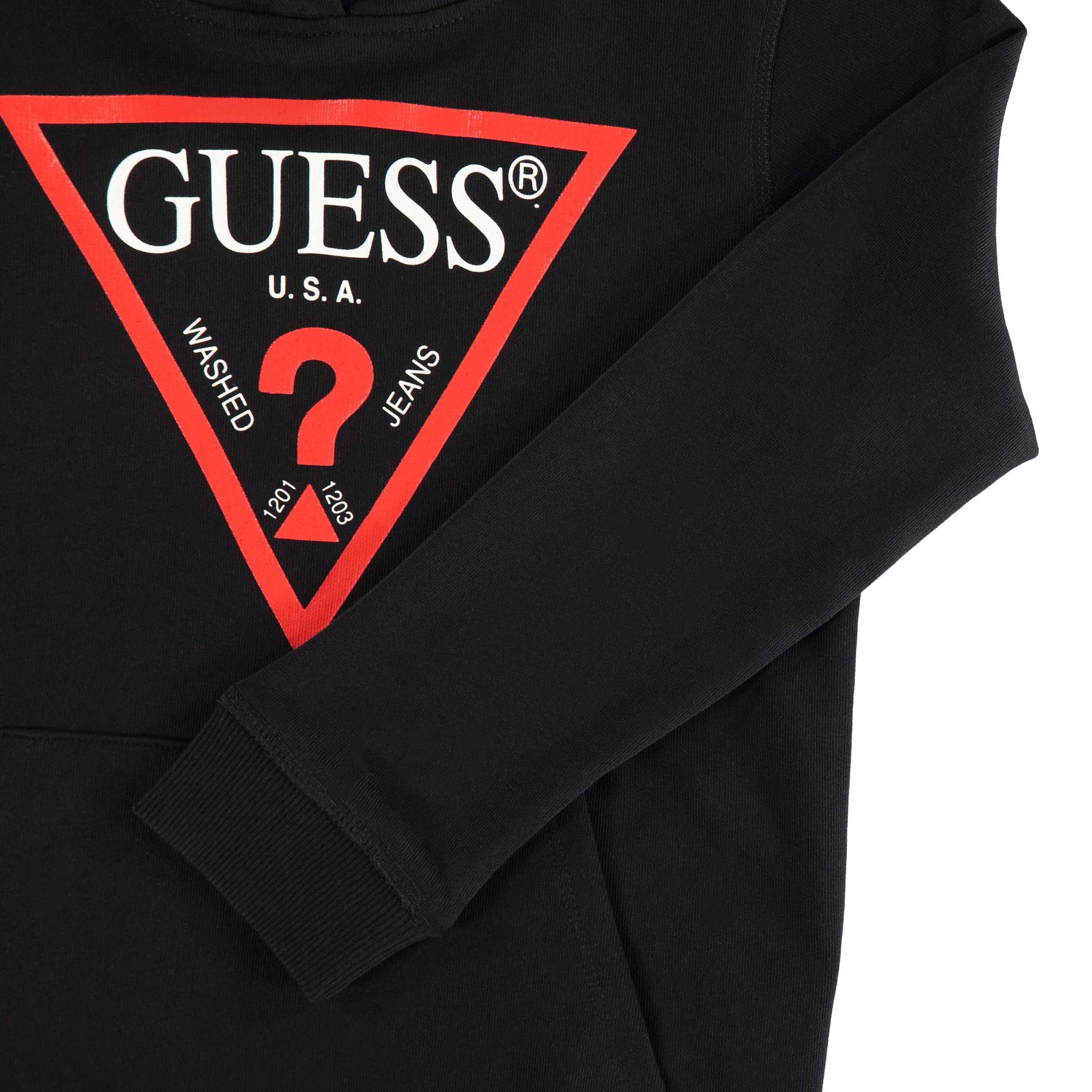 Guess Triangle Logo OTH Hoodie