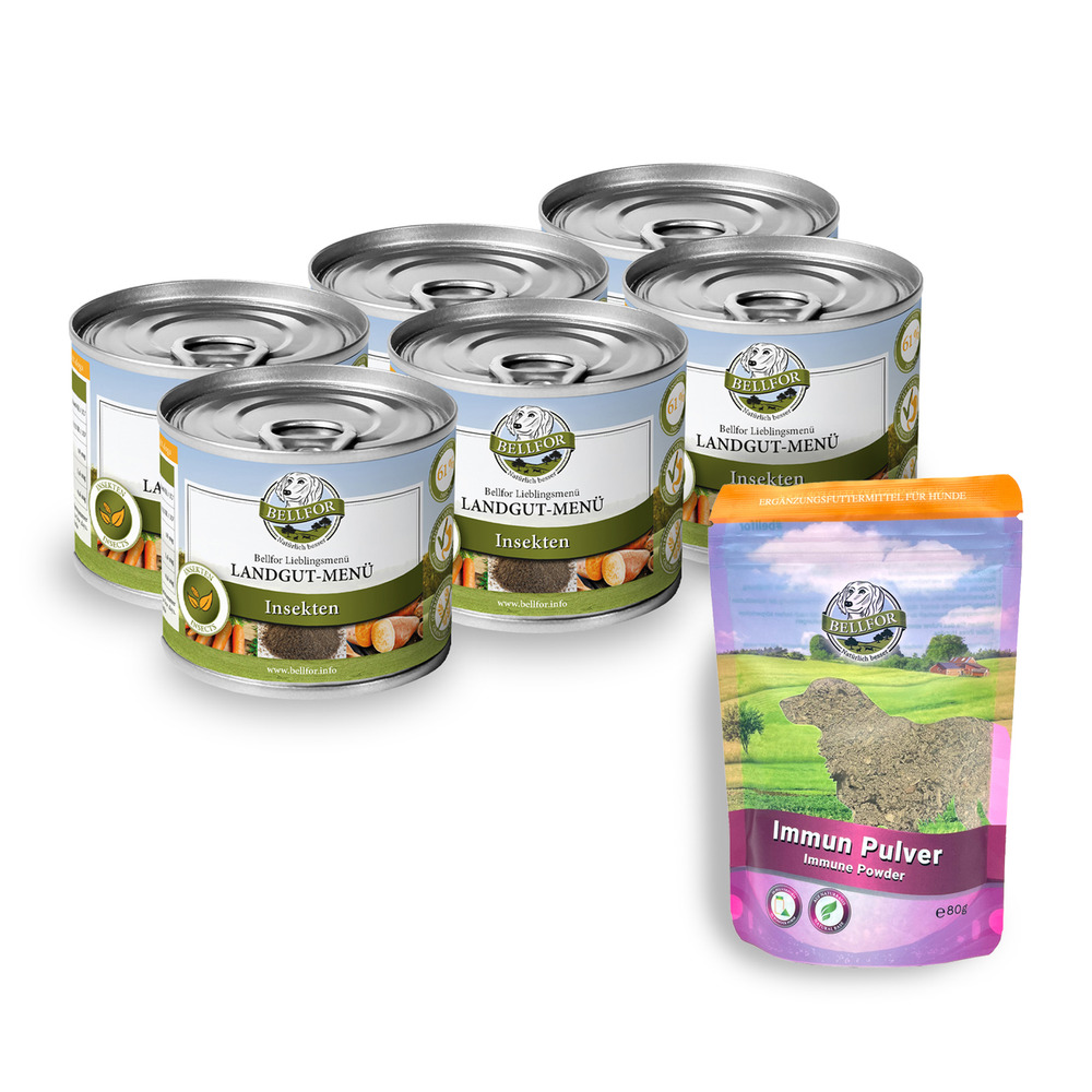 Kit d'alimentation pour petits chiens pour renforcer leurs défenses immunitaires