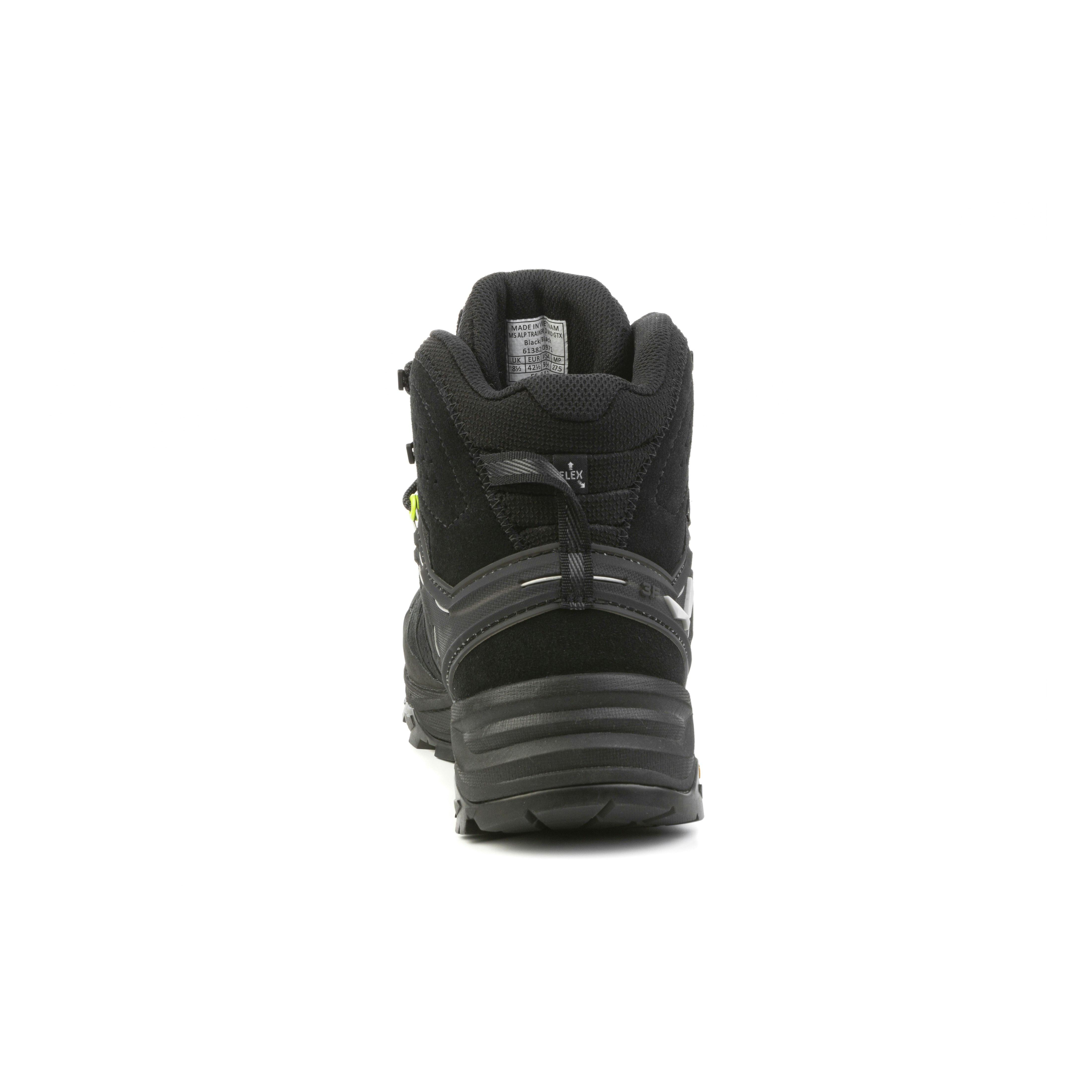 Alp Trainer 2 Mid GORE-TEX® Herren Schuh