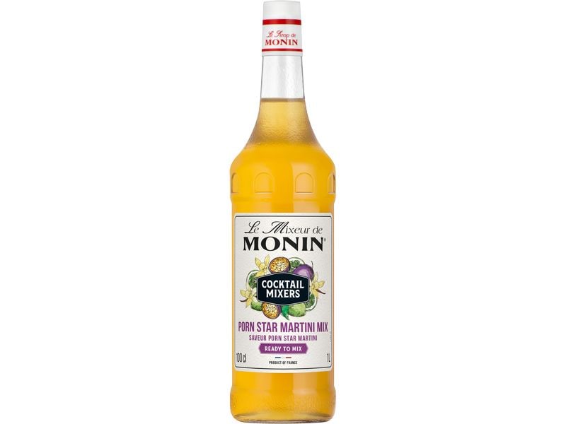 Monin Le Mixeur Martini 1 l Exotischer Genuss für köstliche Cocktails