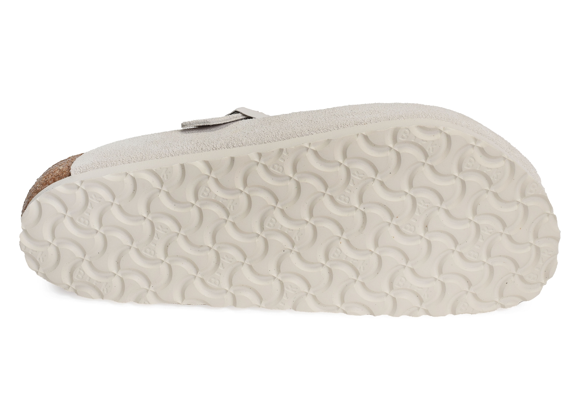 Boston sfb blanc