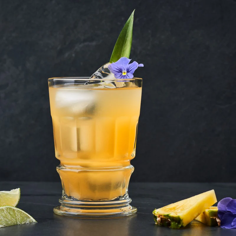Lot de 4 verres à cocktail, CLUB La Rochère