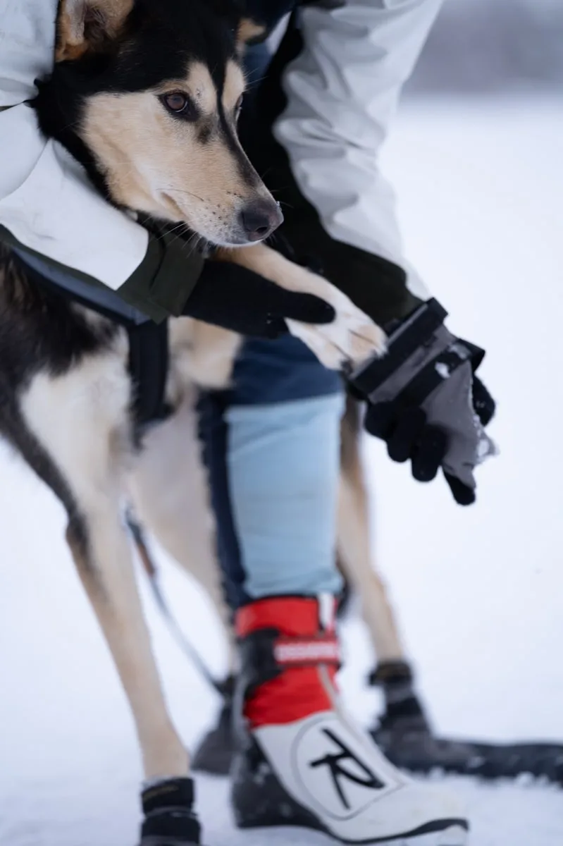 Seleverkstedet Seleverkstedet High Endurance dog boot 4pk Grå/svart