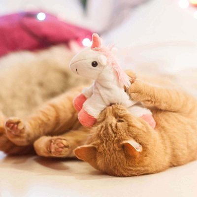 Aumüller Katzenspielkissen Einhorn 55g