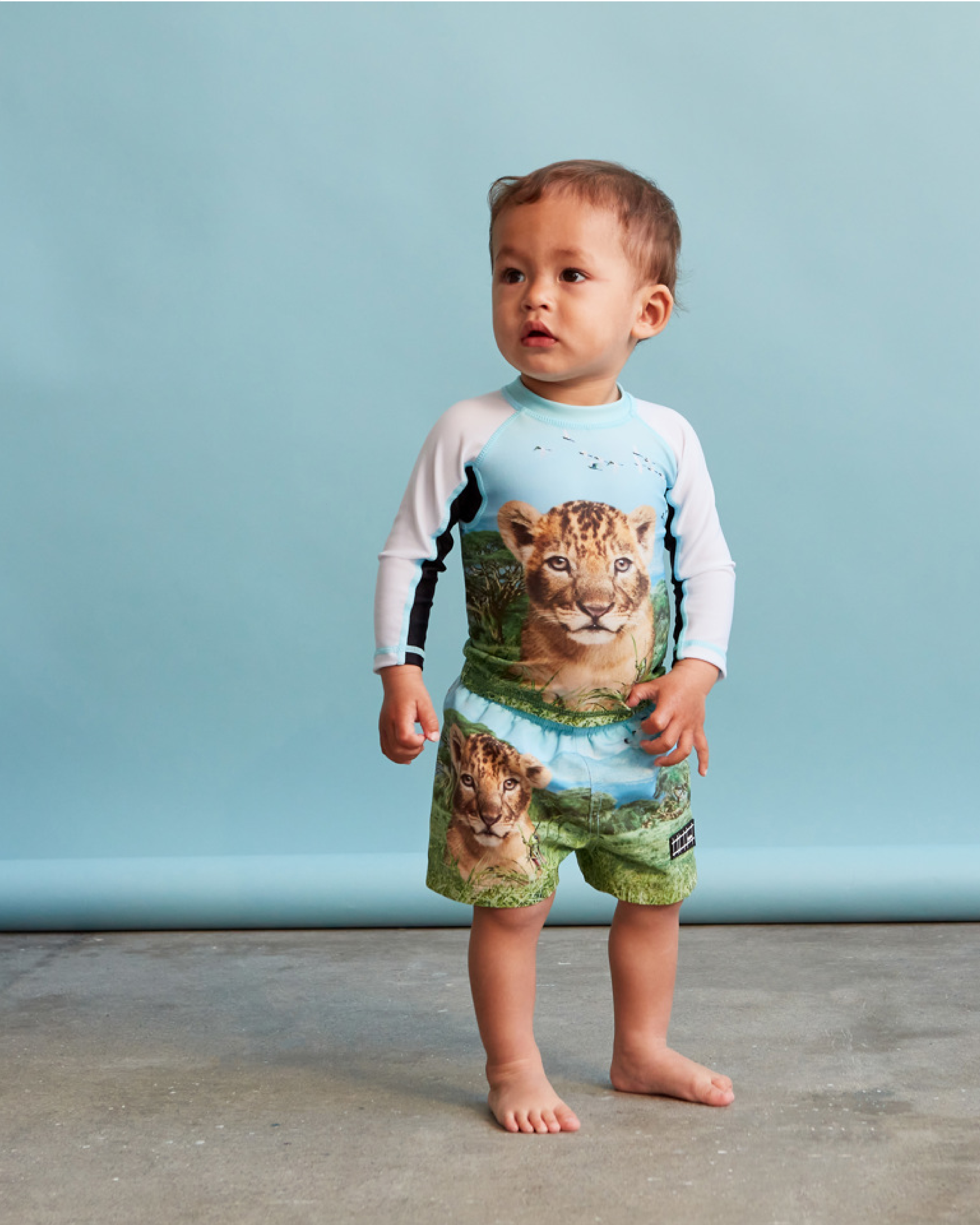 Nemo - Lion Cub