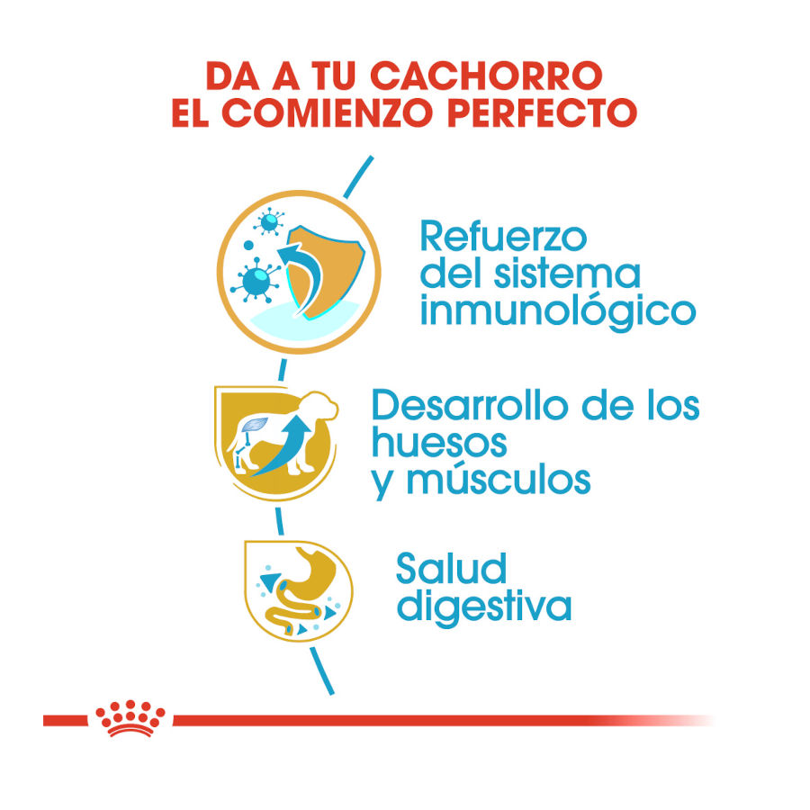 Ração Royal Canin para filhotes de Rottweiler