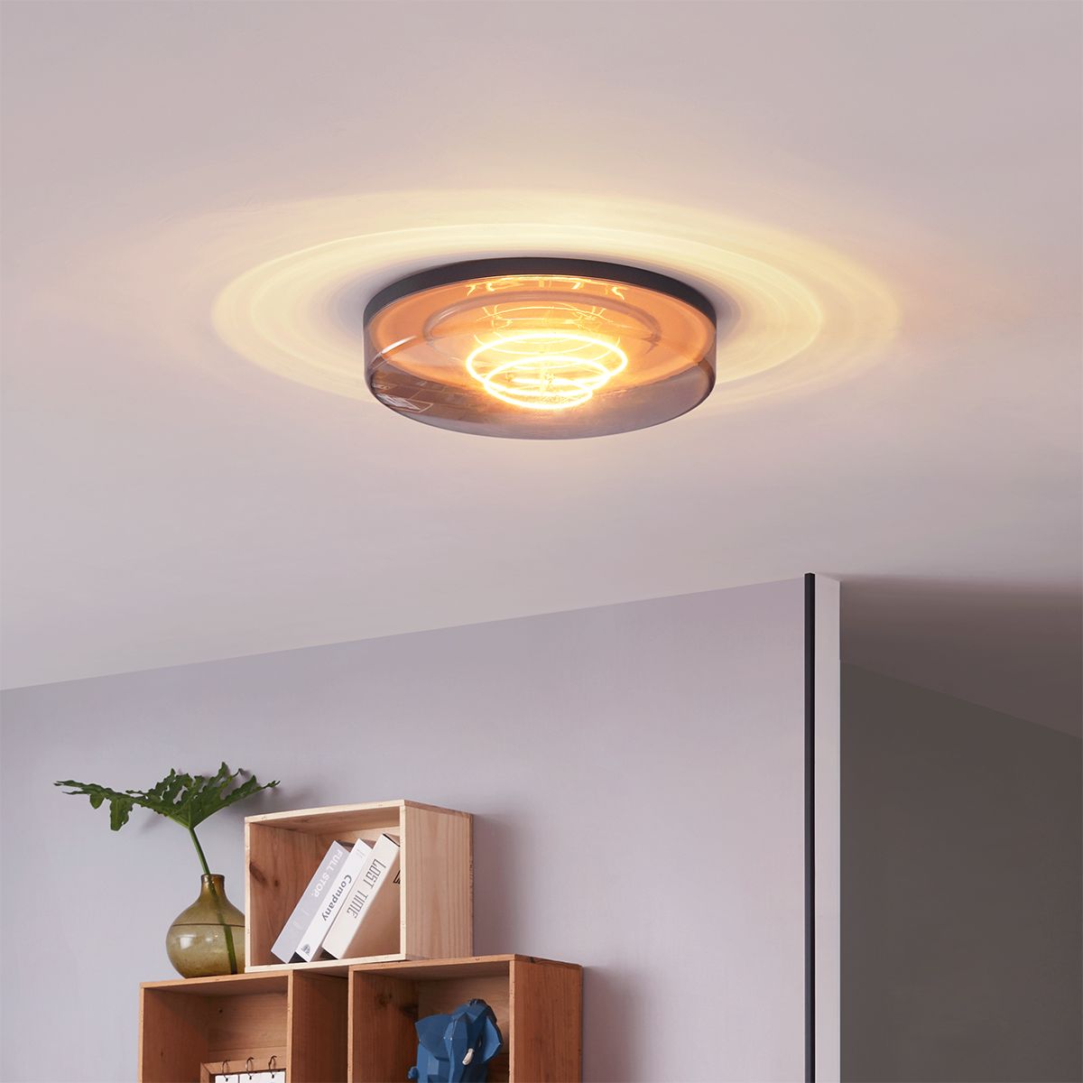 Plafondlamp zwart met smoke glas 35,5cm incl. LED dimbaar - Fira