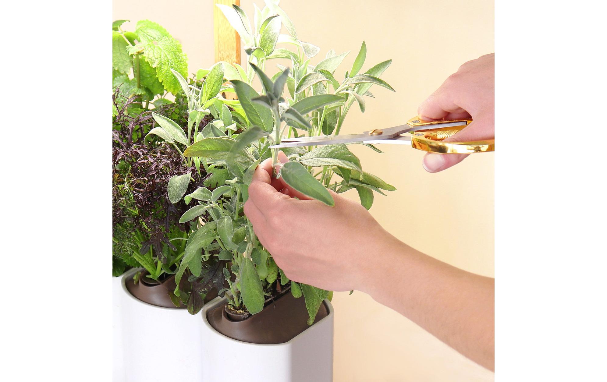 Kräutertopf Indoor Lilo Connect WeissDer smarte, kompakte und intuitive Indoor-Garten