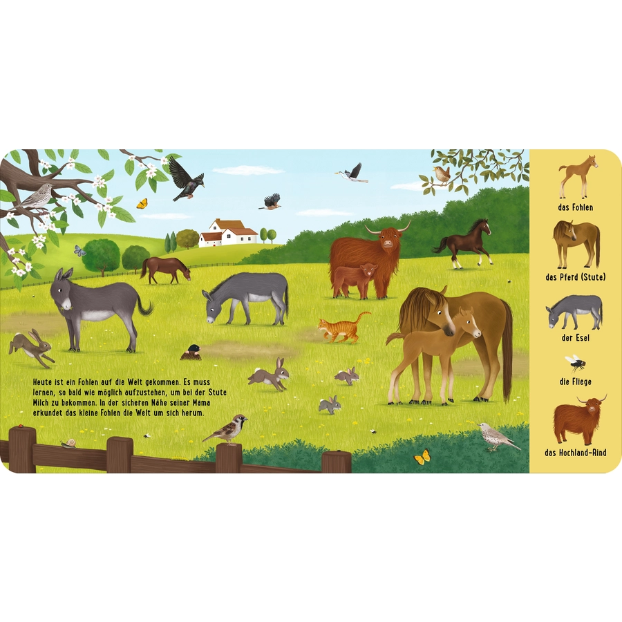 Thienemann-Esslinger Mein erstes Natur-Wimmelbuch: Tiere auf dem Bauernhof