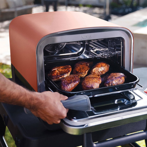 Ninja Woodfire Pizza Oven & Smoker OO101EU