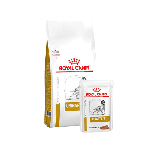 Royal Canin Urinary S/O Hond