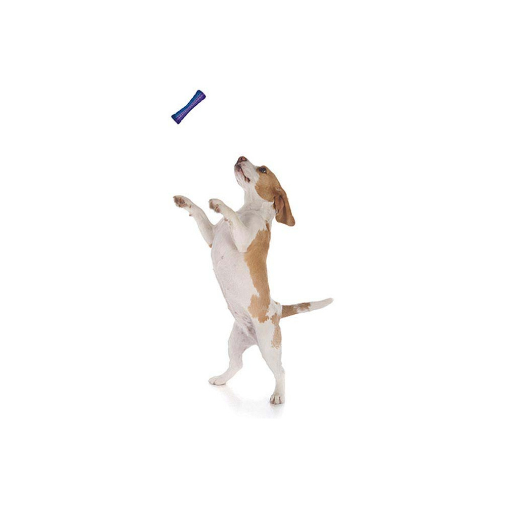 Stick chien en plastique coloré 15 cm (lot de 3)