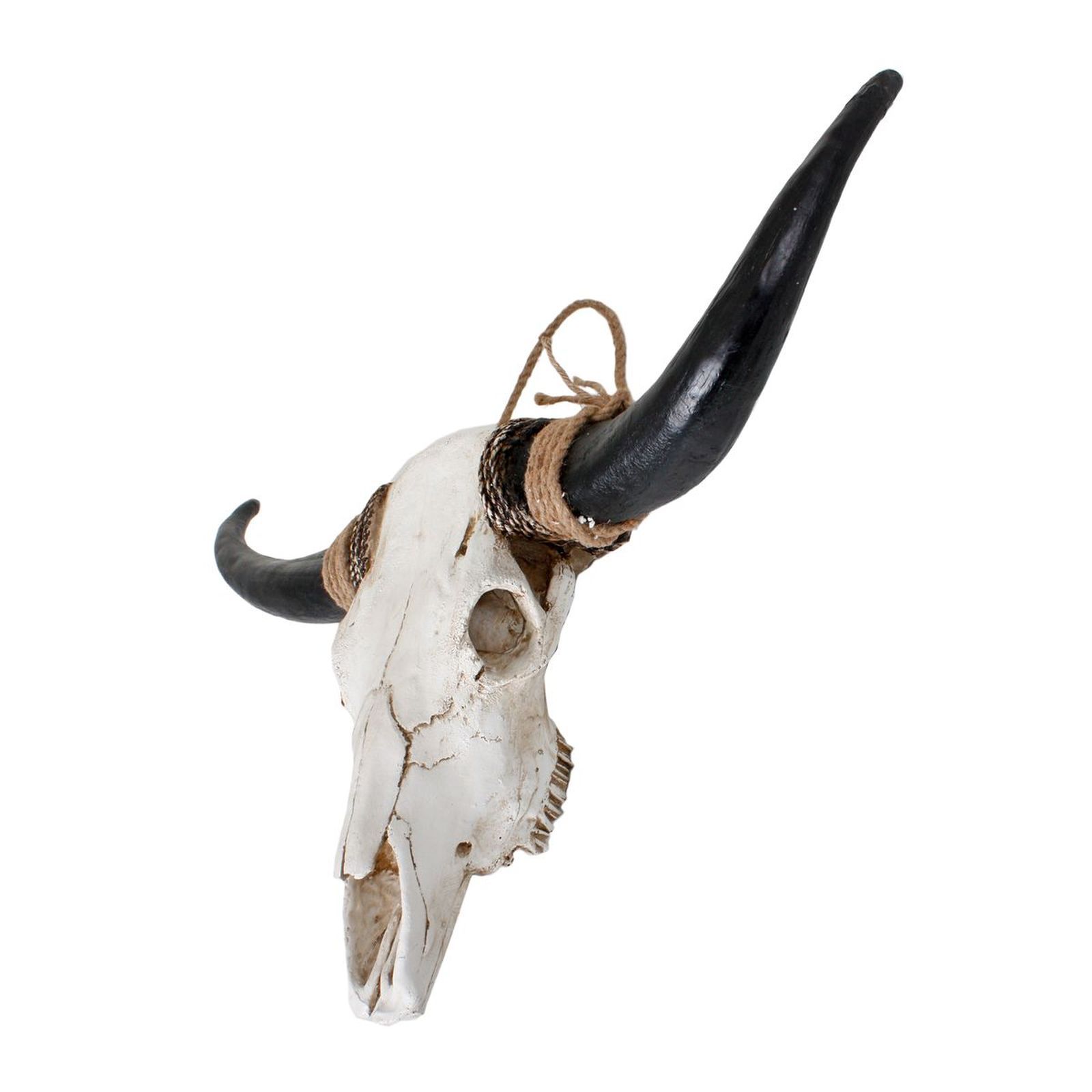 Geweih BISON - 56 cm
