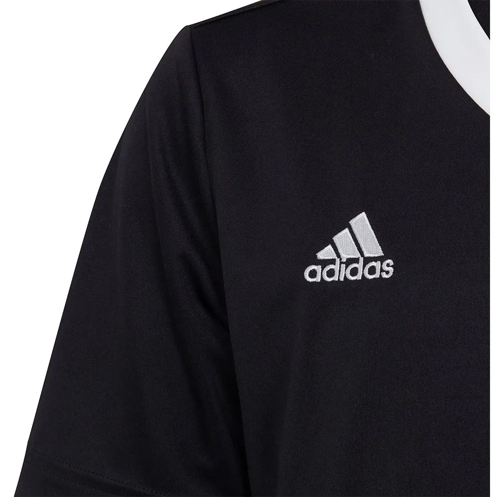 Camiseta de manga curta adidas Entrada 22