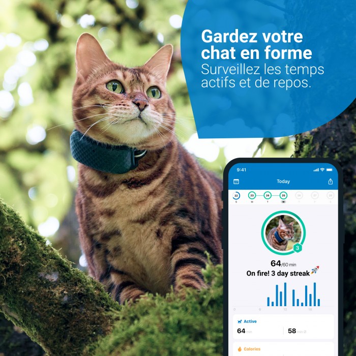 Traceur GPS pour chats