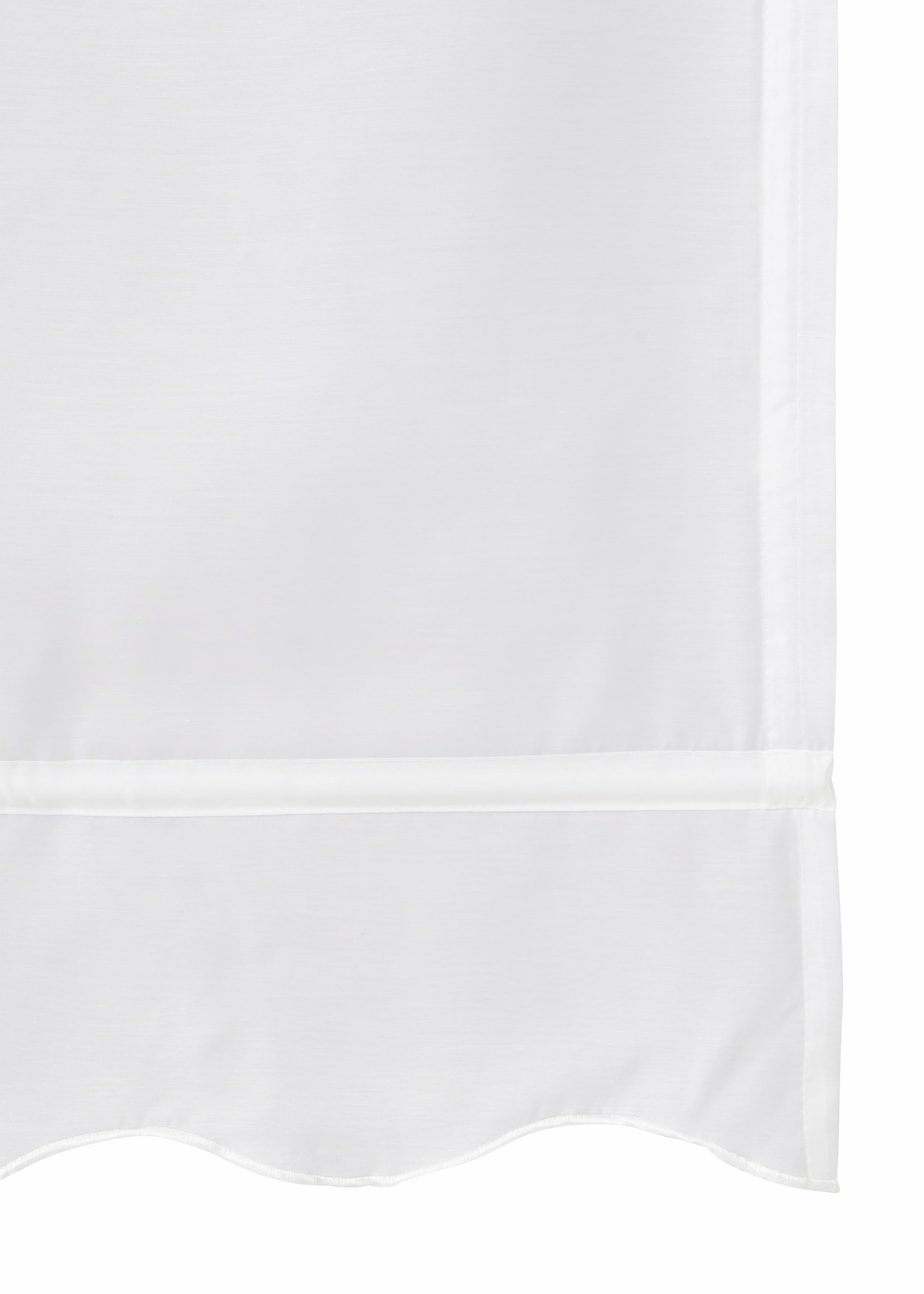 my home Raffrollo »Carpi« mit Hakenaufhängung ohne Bohren Transparent, Voile, Polyester