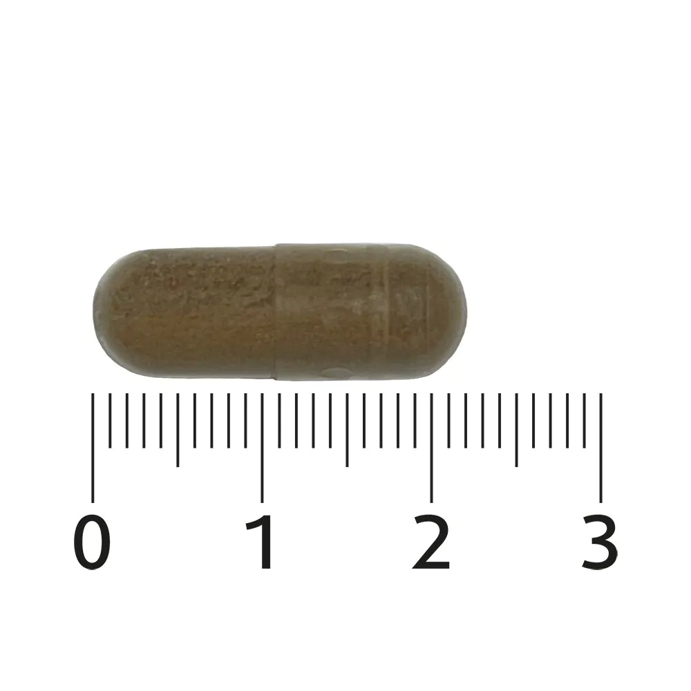 Zweet Balans 60 capsules
