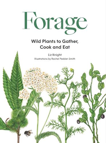 Forage: Wild plants to gather and eat (Hardback)