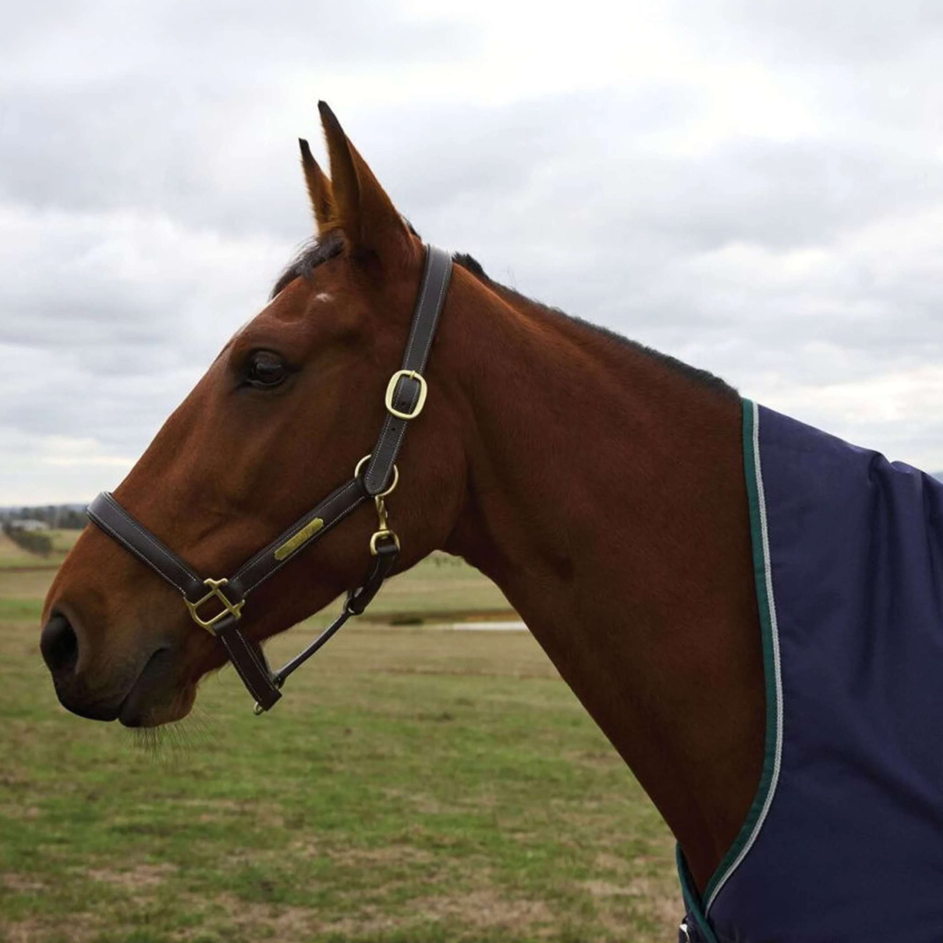 WeatherBeeta ComFiTec Plus Dynamic Turnout High Neck 100g Navy/Forest