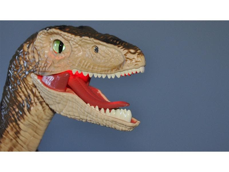 Amewi RC Dinosaurier Velociraptor, Braun RTR Ferngesteuerter Velociraptor Dino