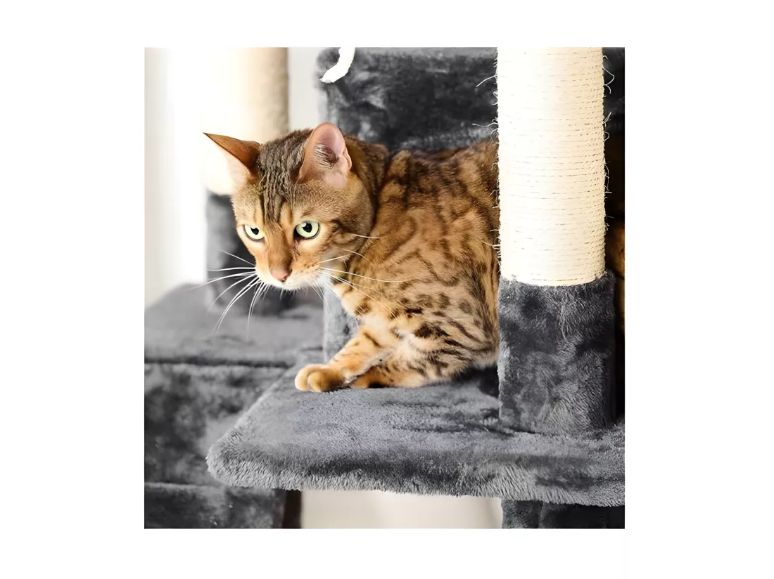 Arbre à Chat avec Jouets 