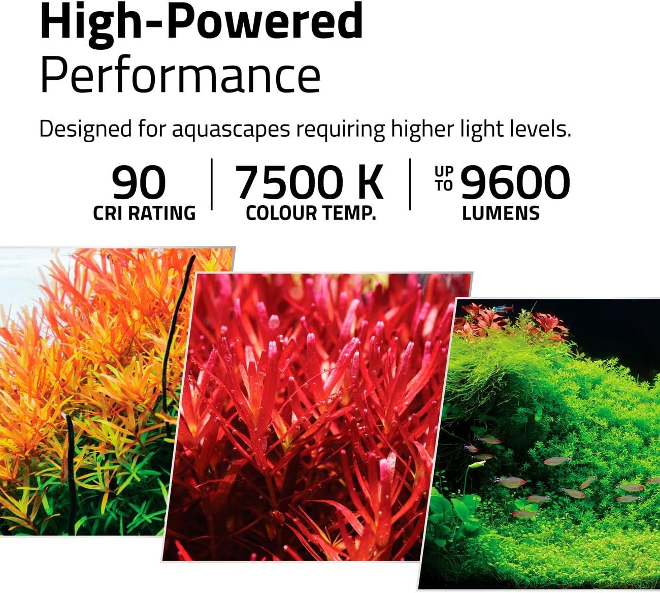 FL Plant Pro 4.0 LED 38W 38-60 cm