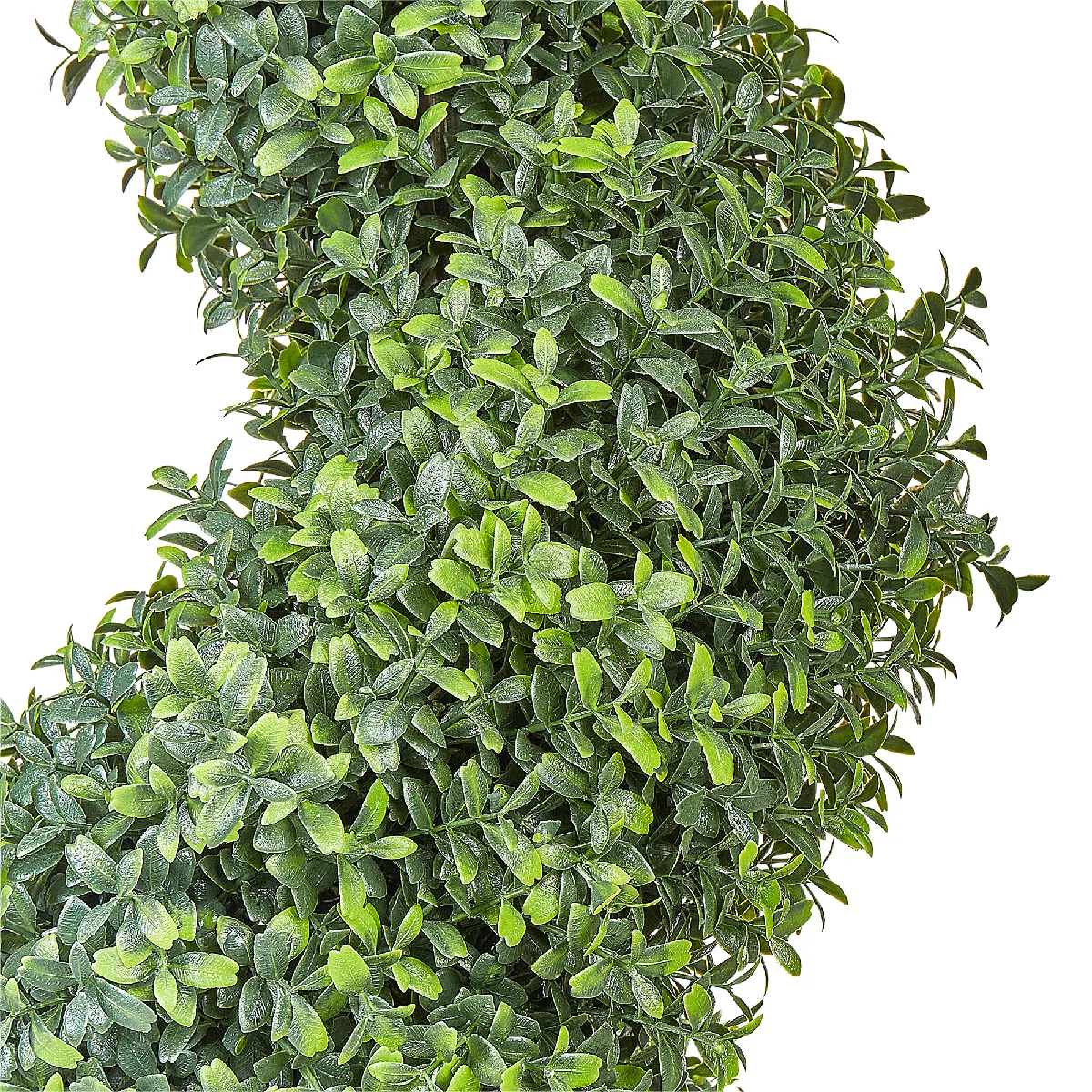 BELIANI BUXUS SPIRAL TREE 98 cm - Vert