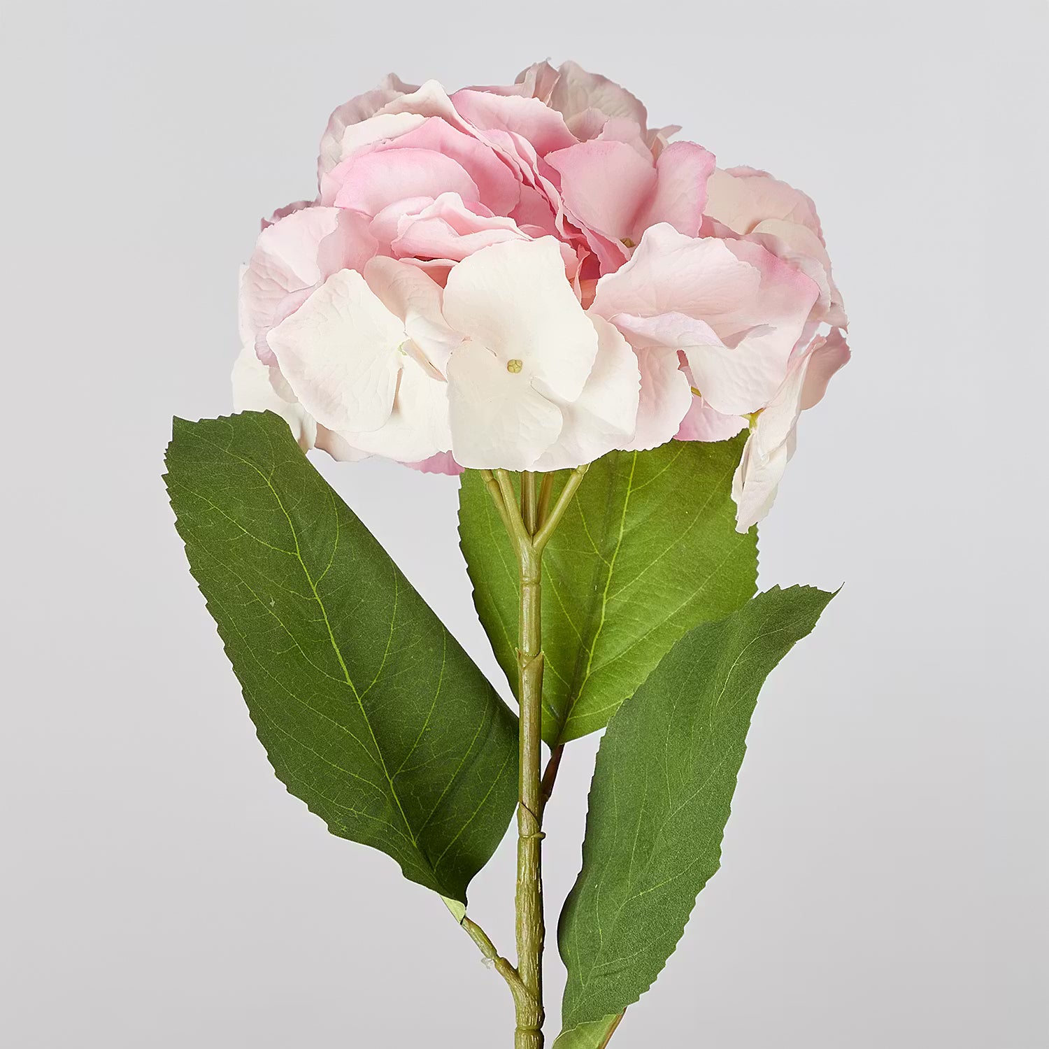 FLORISTA Kunstblume Hortensie 6er-Set