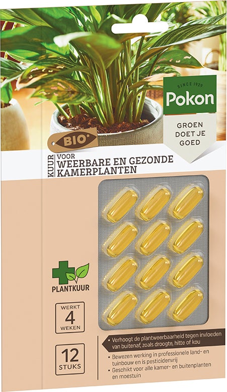 Pokon Bio kuur voor weerbare en gezonde kamerplanten capsules 12 stuks