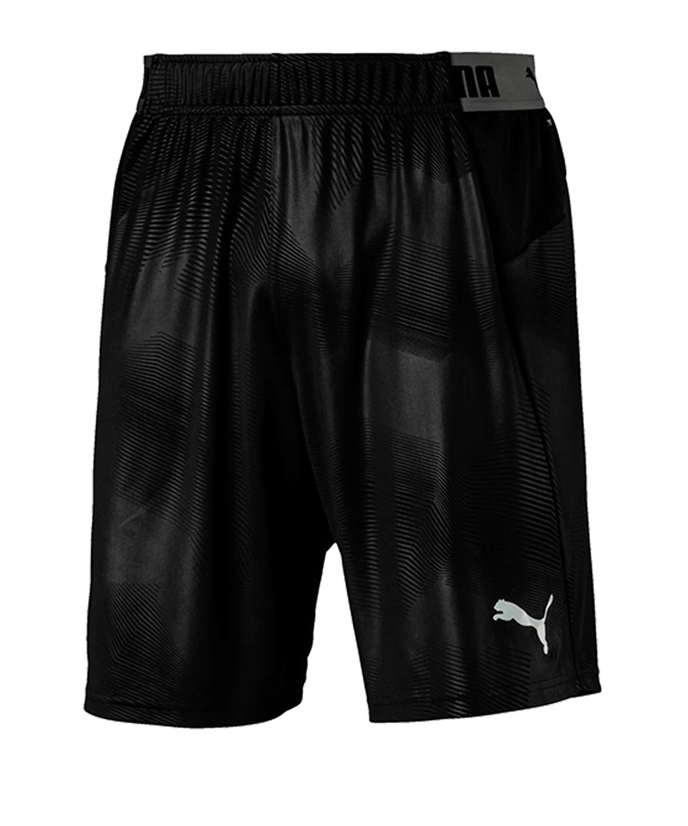 PUMA ftblNXT Graphic Short Schwarz F01