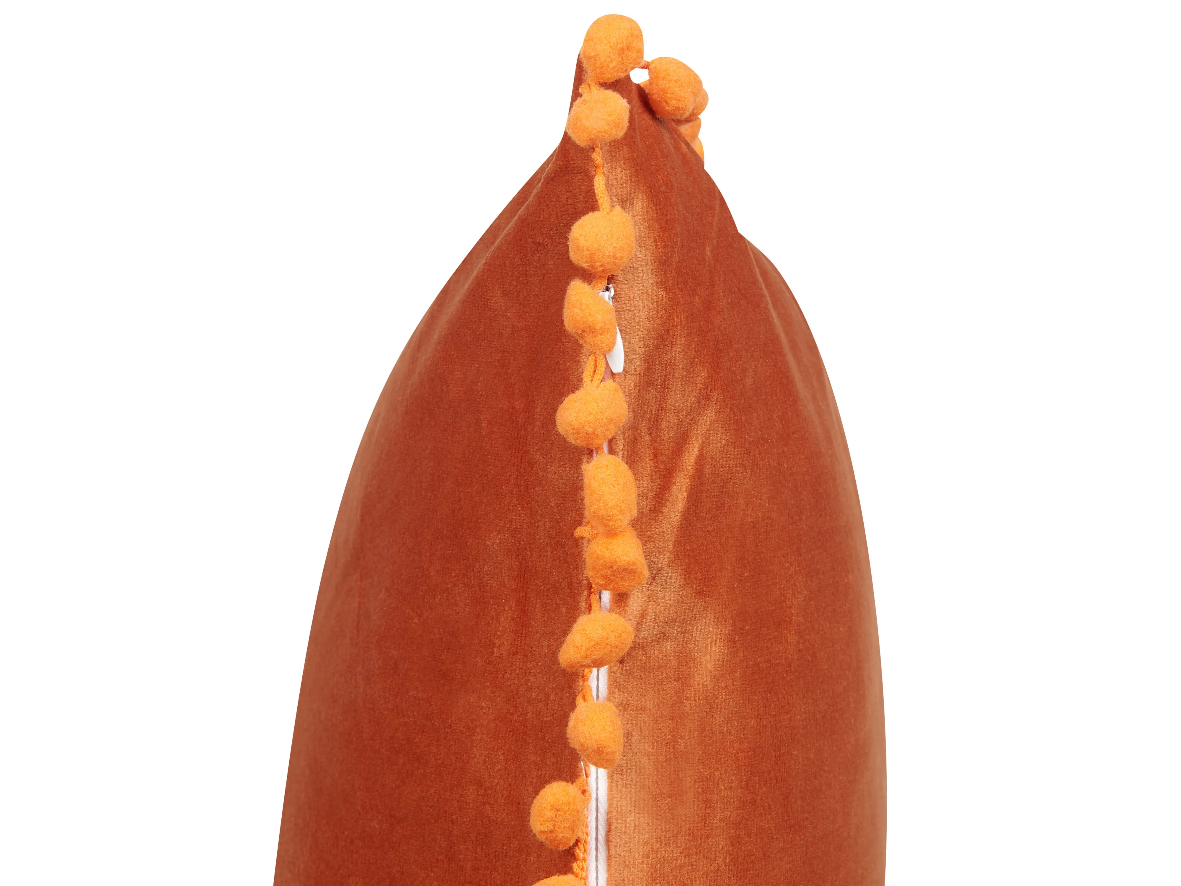 Set van 2 sierkussens AERANGIS Fluweel 45 x 45 cm Oranje effen