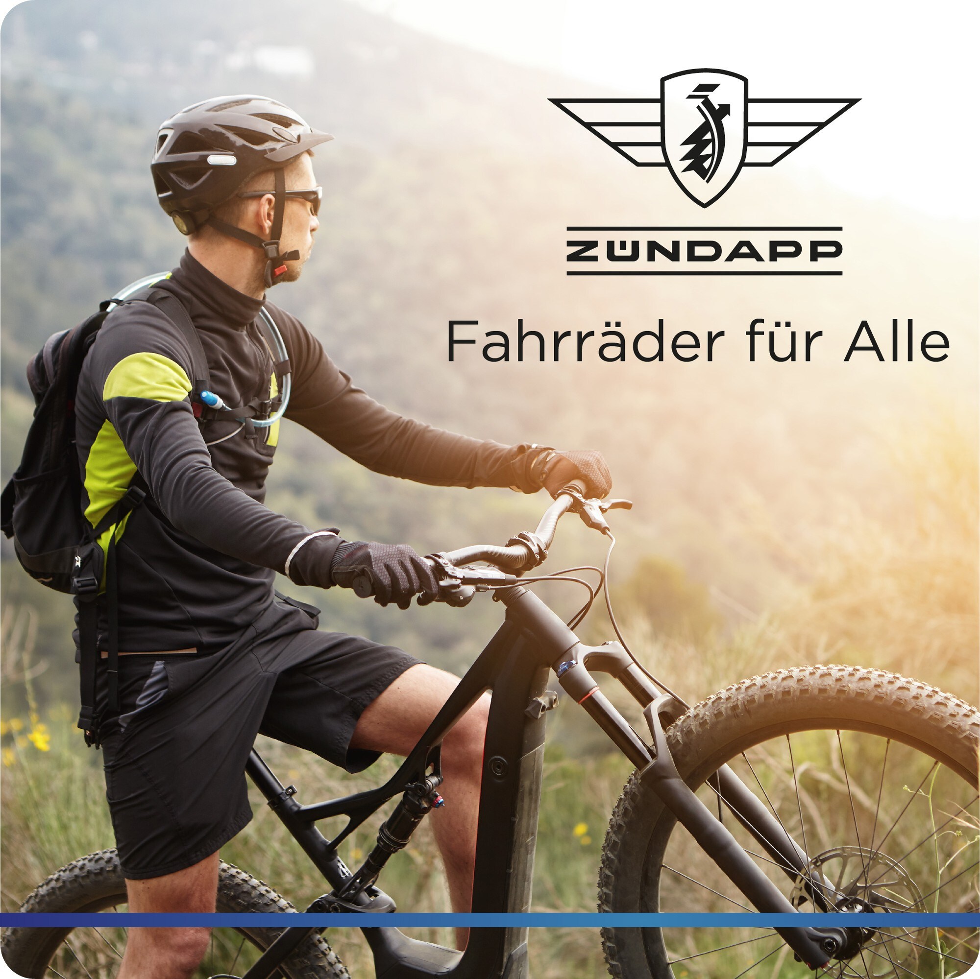 Zündapp Z810 E Bike Trekkingrad Damen ab 155 cm mit 24 Gängen und Beleuchtung StVZO