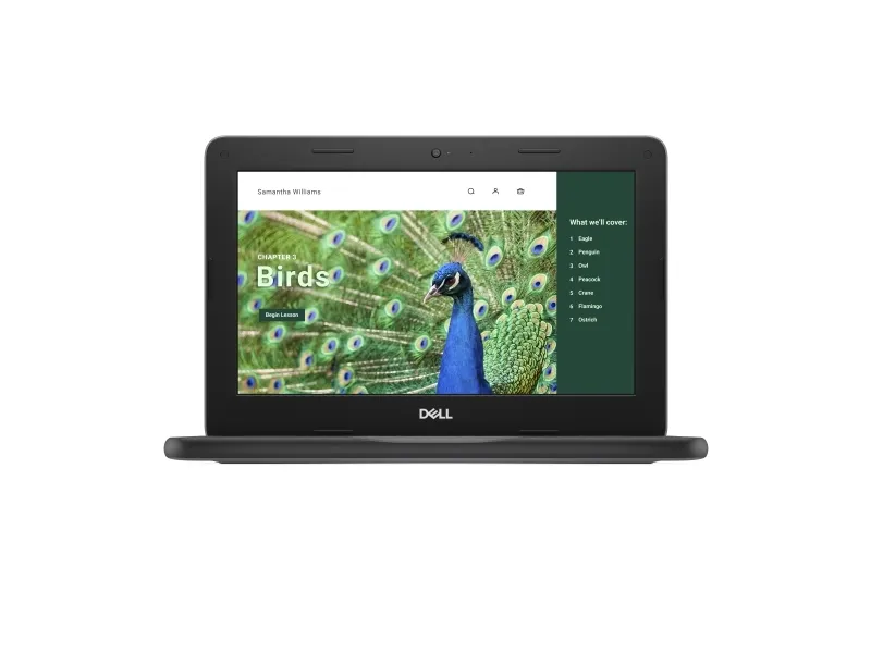 Dell Chromebook 3120 (2024) - Intel N-series - N100 / op til 3.4 GHz - Chrome OS - UHD Graphics - 4 GB RAM - 64 GB eMMC - 11.6