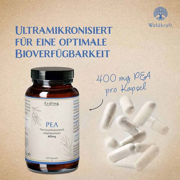 Pea Palmitoylethanolamid 99,23% vegan Kapseln Erdling, 120 St