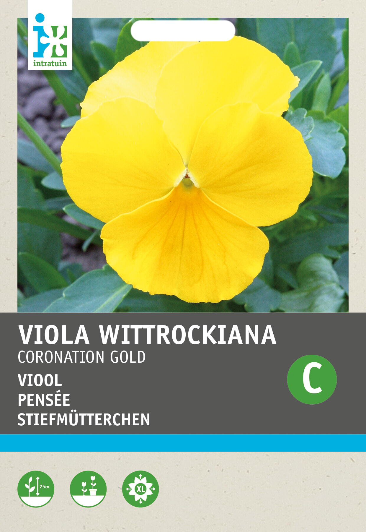 Intratuin bloemenzaad Viooltje goudgeel (Viola wittrockiana 'Coronation gold')
