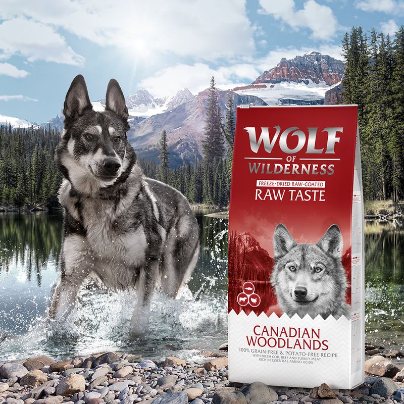 Wolf of Wilderness Mini-croquettes RAW TASTE