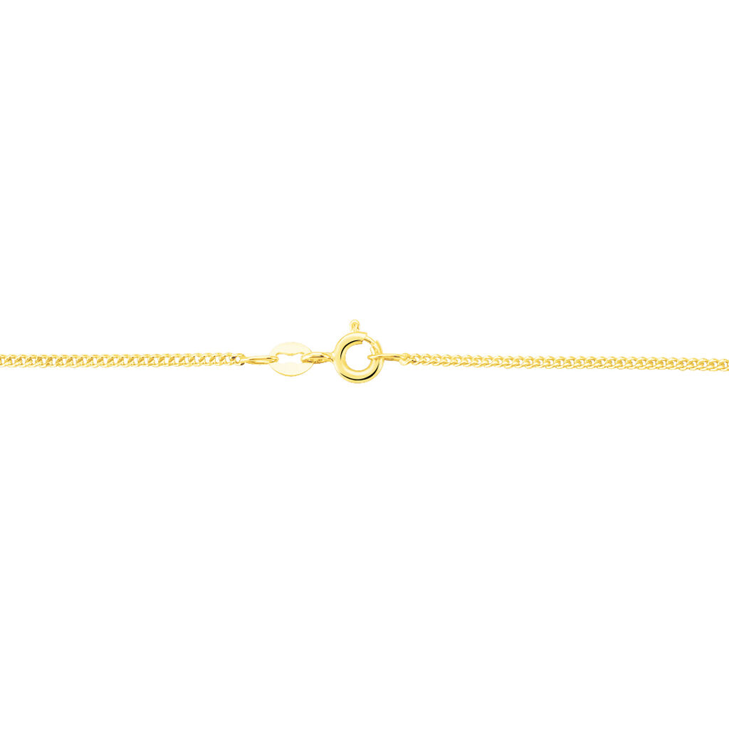 Chaîne Nedjima Maille Gourmette Or Jaune