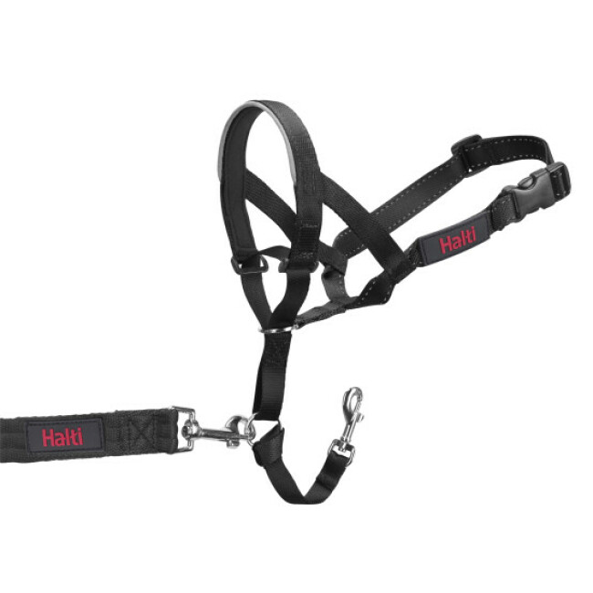 Licol de dressage Halti pour chien